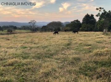 Imagem 1 · Sítio para aluguel em Sousas, Campinas