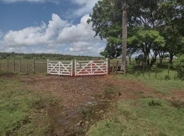 Imagem 1 · Fazenda para venda em Centro, Uruguaiana