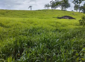 Imagem 1 · Sítio para venda em Caldas