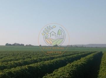 Imagem 1 · Fazenda para venda em Centro, Patos de Minas