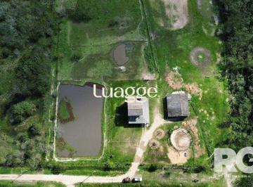 Imagem 1 · Sítio para venda em Lami, Porto Alegre