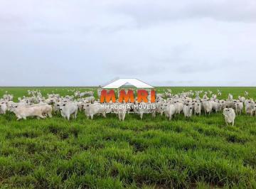 Imagem 1 · Fazenda para venda em Currais