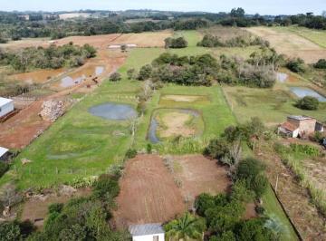 Imagem 1 · Sítio para venda em João Alves, Santa Cruz do Sul