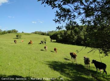 Imagem 1 · Fazenda para venda em Centro, Mariana Pimentel
