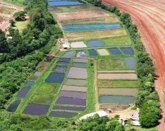 Imagem 1 · Sítio para venda em Centro, Itapuranga