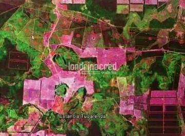 Imagem 1 · Fazenda para venda em Área Rural de Foz do Iguaçu, Foz do Ig
