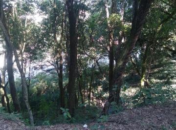 Imagem 1 · Terreno para venda em Centro, Santa Bárbara