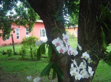 Imagem 1 · Chácara para venda em Cuiabá