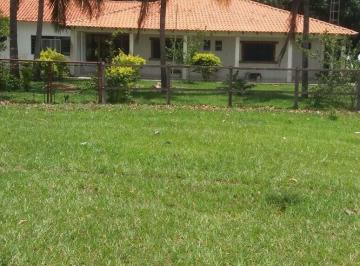 Imagem 1 · Fazenda para venda em Centro, Pedro Gomes
