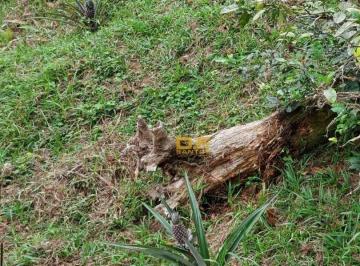 Imagem 1 · Chácara para venda em Mongaguá