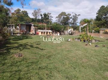 Imagem 1 · Chácara para venda em Parque Florestal (Itapuã), Viamão