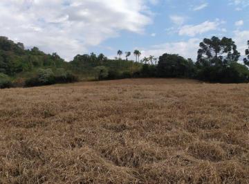 Imagem 1 · Fazenda para venda em Centro, Renascença
