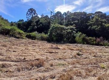 Imagem 1 · Chácara para venda em Centro, Gonçalves