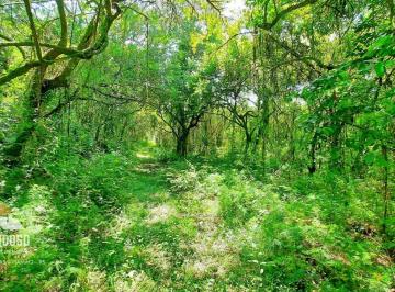Imagem 1 · Sítio para venda em Passo da Areia, Viamão
