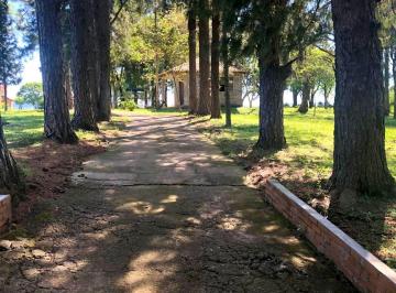 Imagem 1 · Sítio para venda em Centro, Santa Maria