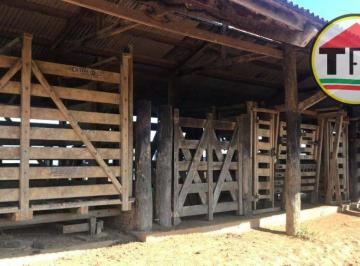 Imagem 1 · Fazenda para venda em Centro, Novo Repartimento