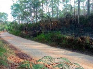 Imagem 1 · Sítio para venda em Pedra Vermelha (Terra Preta), Mairiporã