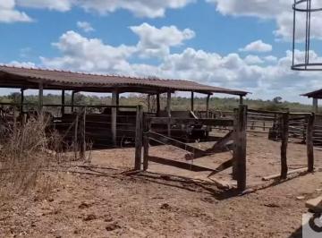 Imagem 1 · Fazenda para venda em Lagoa Grande