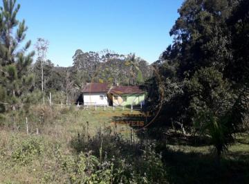 Imagem 1 · Sítio para venda em Centro, Natividade da Serra