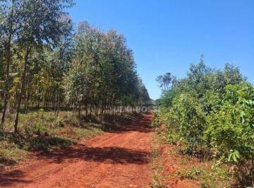 Imagem 1 · Fazenda para venda em Centro, Curvelo