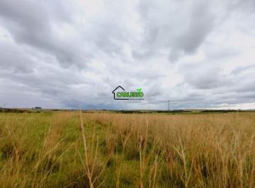 Imagem 1 · Fazenda para venda em Área Rural de Alegrete, Alegrete