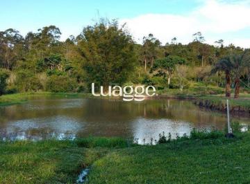 Imagem 1 · Sítio para venda em Sitio São José, Viamão