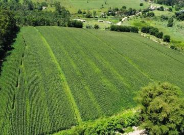 Imagem 1 · Fazenda para venda em Centro, Paraibuna
