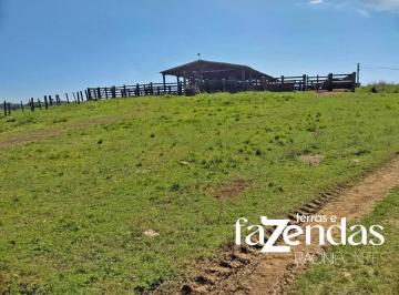 Imagem 1 · Fazenda para venda em Centro, Rondon do Pará