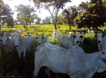Imagem 1 · Fazenda para venda em Centro, Acorizal