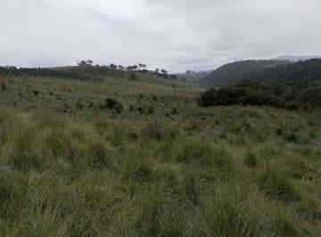 Imagem 1 · Fazenda para venda em Centro, Dom Viçoso