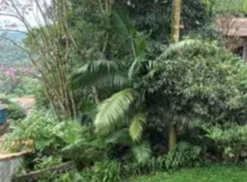 Imagem 3 · Chácara para venda em Parque Andreense, Santo André