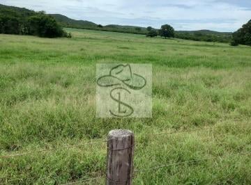 Imagem 1 · Fazenda para venda em Centro, Janaúba