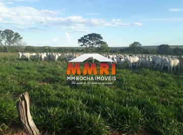 Imagem 1 · Fazenda para venda em Centro, Novo São Joaquim