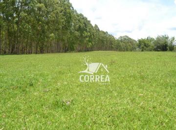 Imagem 1 · Fazenda para venda em Centro, Sorocaba