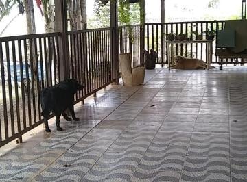 Imagem 1 · Sítio para venda em Matozinhos