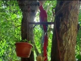 Imagem 1 · Chácara para venda em Puraquequara, Manaus