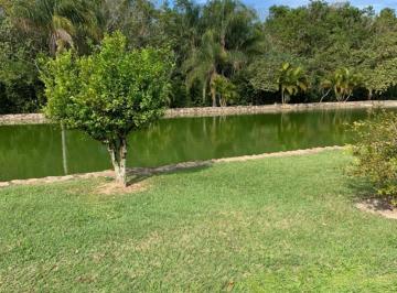 Imagem 1 · Sítio para venda em Mirim, Indaiatuba