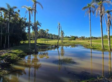 Imagem 1 · Sítio para venda em Santa Cruz do Sul