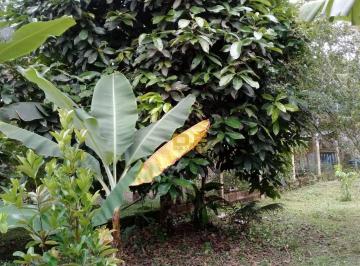 Imagem 3 · Chácara para venda em Itanhaém