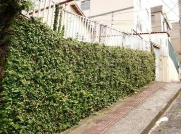 Imagem 1 · Terreno para venda em Coração Eucarístico, Belo Horizonte