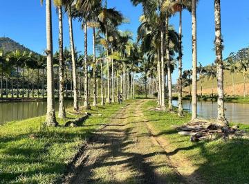 Imagem 1 · Sítio para venda em Braço, Camboriú