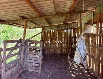 Imagem 1 · Chácara para venda em São Carlos, Pouso Alegre