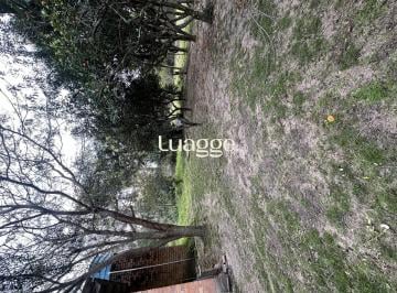 Imagem 3 · Chácara para venda em Lami, Porto Alegre