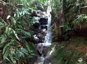 Imagem 1 · Sítio para venda em Centro, Caçapava