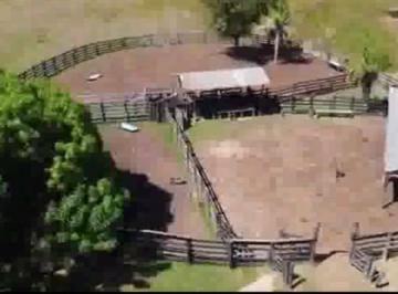 Imagem 1 · Fazenda para venda em Centro, Poconé