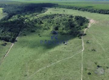 Imagem 1 · Fazenda para venda em Centro, Entre Rios