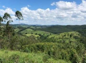 Imagem 1 · Sítio para venda em Centro, Santa Branca