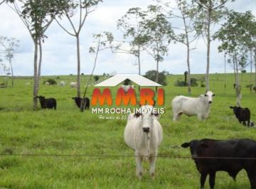 Imagem 1 · Fazenda para venda em Centro, Porto Alegre do Norte