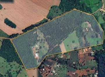 Imagem 1 · Fazenda para venda em Joanápolis, Anápolis