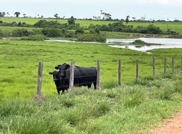 Imagem 1 · Fazenda para venda em Área Rural de Araguaína, Araguaína